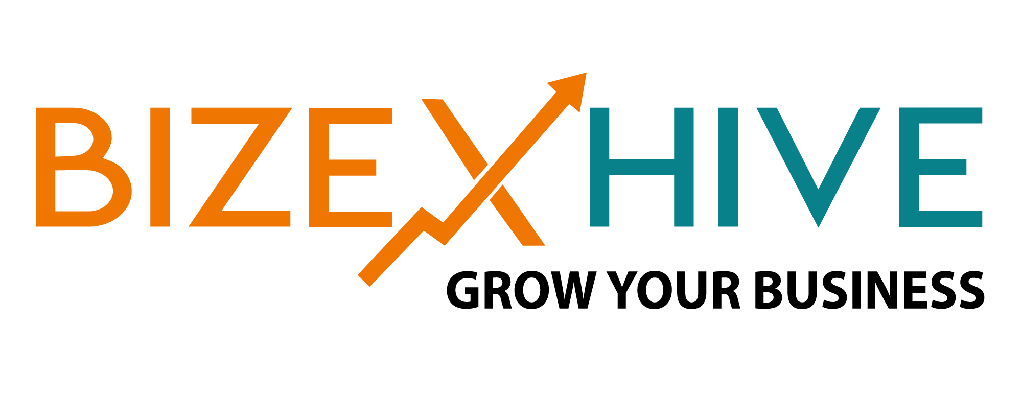 Bizexhive